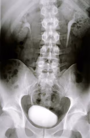 Funciones de la columna vertebral